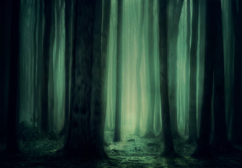 Enchanted Forest of Lumina